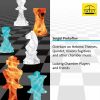 Download track Visions Fugitives, Op. 22 (Arr. M. Ucki For Chamber Ensemble): No. 15, Inquieto