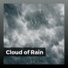 Download track Knowingly Rain