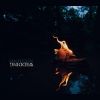 Download track She's A Devil Inside