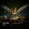 Download track Fly Trap