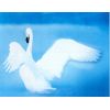 Download track Sacris Solemnis (Symphony No. 7, Op. 92: II. Allegretto) 
