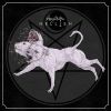 Download track Acid