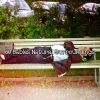 Download track Pure Lullaby