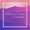 Download track 25c. Pas De Quatre: Variation II (Bluebird And Florisse)