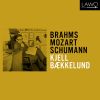 Download track 4 Klavierstücke, Op. 119 No. 1, Intermezzo. Adagio (In B Minor)