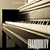 Download track Starlit Piano Cascade