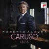 Download track Frondi Tenere E Belle... Ombra Mai Fu (From -Serse HWV 40-)