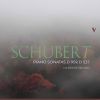 Download track Piano Sonata In A Minor, Op. 164, D. 537: II. Allegretto Quasi Andantino