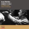 Download track 04. Symphony No. 2 In D Major, Op. 43 IV. Finale. Allegro Moderato