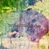 Download track Surround Yourself In Rain