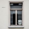 Download track Immer