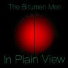 Download track In Plain View