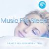 Download track Suite Bergamasque, L. 75: No. 3, Clair De Lune