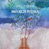 Download track A Luz