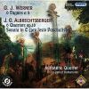 Download track (10) G. J. Werner - Fugue A 4 No. 5 D-Moll - II. Allegro