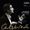Download track Dvorak, Cello Concerto In B Minor, Op. 104 - II. Adagio Ma Non Troppo
