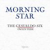 Download track Pärt: Morning Star