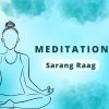 Download track Meditation Sarang Raag Vol 5