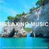 Download track Soothing Peace