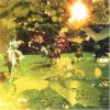 Download track Big Green Tree