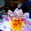 Download track Unwind