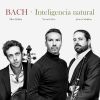 Download track Bach, J. S. Flute Sonata In E. Major, BWV 1035 IV Allegro Assai'