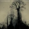 Download track Trees (Butch Stripped Mix)