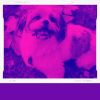 Download track Pulsating Music For Separation Anxiety