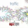 Download track Traffic