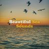 Download track Exultingly Ocean