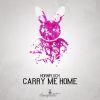 Download track Carry Me Home (Extended Mix)