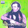 Download track String Quartet No. 13 In A Minor, D. 804 Op. 29: I. Allegro Ma Non Troppo