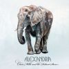 Download track When We Were Young