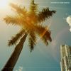 Download track A Perfect Digestif