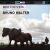 Download track IV. Gewitter, Sturm. Allegro