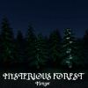 Download track Mysterious Forest