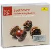 Download track Quartet Nr. 13 B-Dur Op. 130 - 2. Presto
