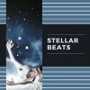 Download track On A Thin Line