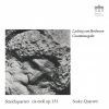 Download track String Quartet In C-Sharp Minor, Op. 131: VII. Allegro