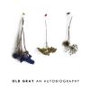 Download track The Graduate