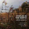 Download track Violin Concerto In D Major, RV 230 (Arr. For Violin & Baroque Ensemble By Anonymous): II. Larghetto