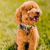 Download track Over React