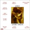 Download track Lal