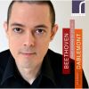 Download track 08 - Piano Sonata No. 15 In D Major, Op. 28 Pastoral - Allegro