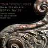 Download track On The Valleys, Dark And Cheerless (From The Triumph Of Time And Truth)