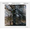 Download track 8. Var. VII - Un Poco Piu Allegro