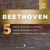 Download track 03 - III. Scherzo. Allegro Vivace
