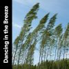 Download track Meditation With Nature, Pt. 1