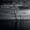 Download track 17 - Im Dorfe