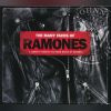 Download track I'm Making Monsters For My Friends (Dee Dee Ramone I. C. L. C.